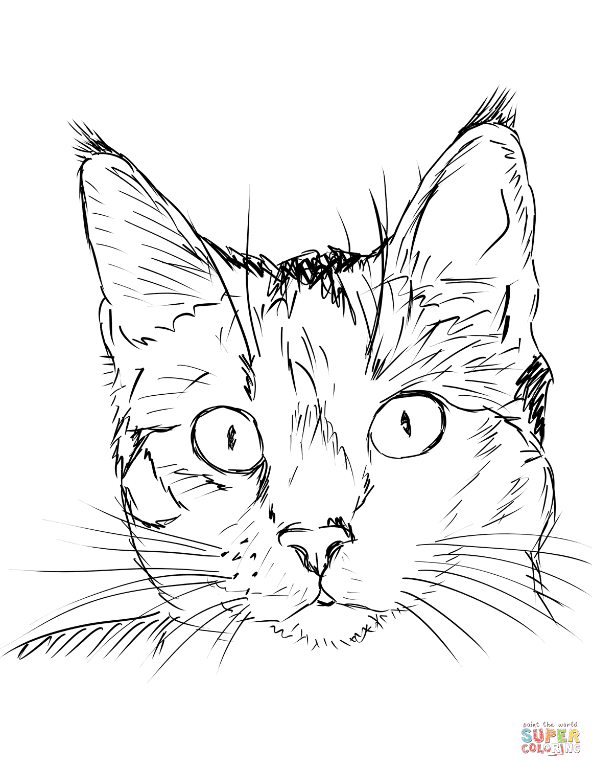 cat-portrait-coloring-page
