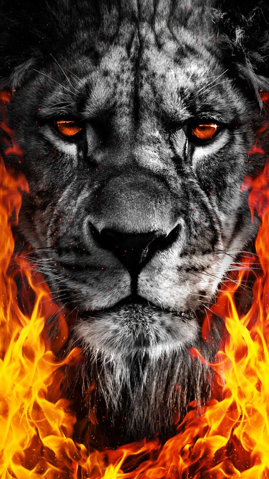 Lion-King-Fire