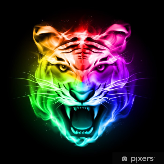 plakater-tigerenes-leder-i-farverig-ild.jpg