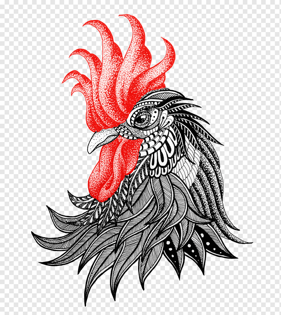 png-transparent-rooster-drawing-dragon-abziehtattoo-dragon-dragon-chicken-galliformes