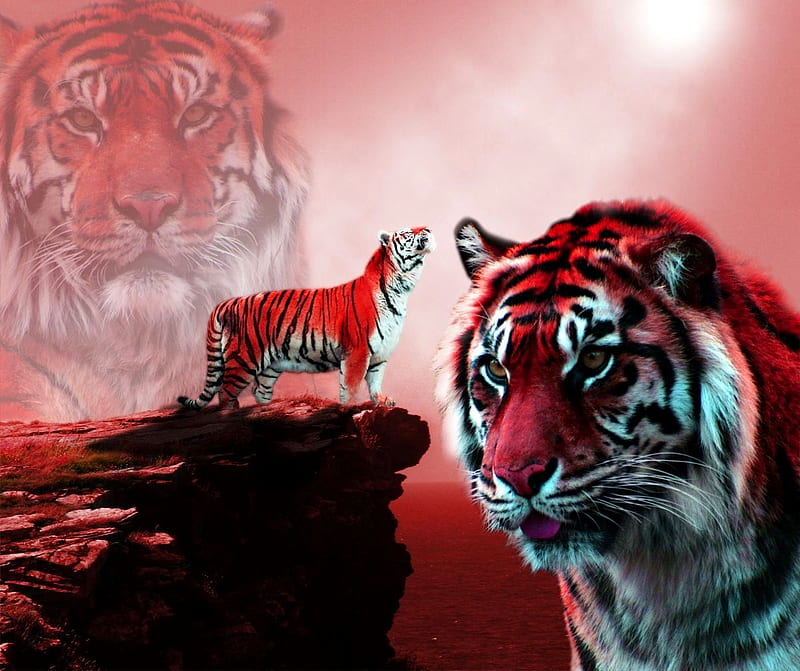 HD-wallpaper-3d-pink-tiger-3d-graphy-tiger-pink