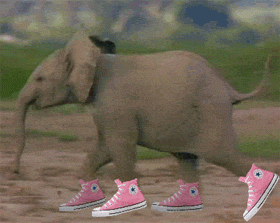 slon-v-ruzovych-botach