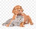 png-clipart-cute-pet-cats-and-dogs-animal-pictures-puppy-thumbnail