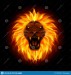 illustration-fire-lion-head-isolated-black-background-fire-lion-head-isolated-black-background-170250999