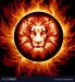 zodiac-sign-of-lion-in-fire-circle-vector-19208441