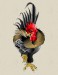 rooster-tattoo-neo-traditional_60223-359