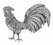 black-white-hand-drawn-vector-illustration-fiery-rooster-doodle-ornate-style-beautiful-pattern-symbol-new-year-75812454