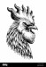 rooster-head-ink-black-and-white-illustration-MN8J4F