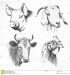farm-animals-vintage-set-vector-see-also-other-sets-67467594